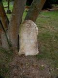 image of grave number 199648